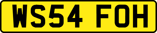WS54FOH