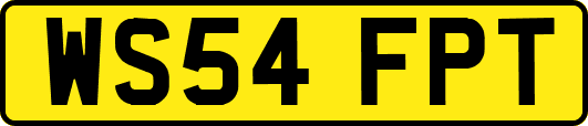 WS54FPT