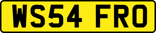WS54FRO