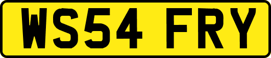 WS54FRY