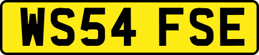 WS54FSE