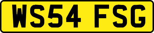 WS54FSG