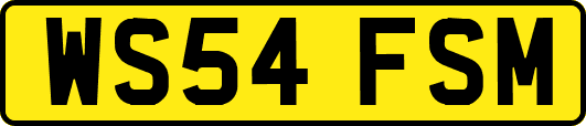 WS54FSM