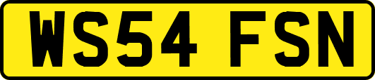 WS54FSN
