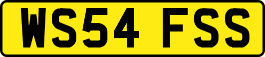 WS54FSS