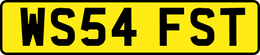 WS54FST