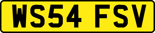 WS54FSV