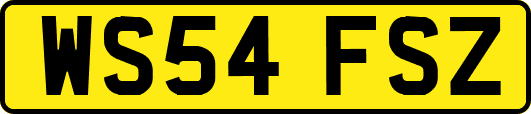 WS54FSZ
