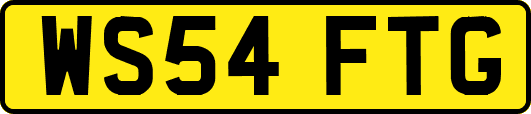 WS54FTG