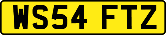 WS54FTZ