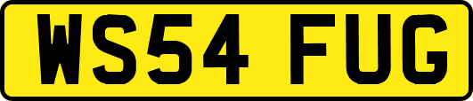 WS54FUG