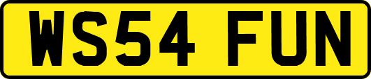 WS54FUN