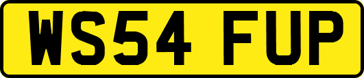 WS54FUP