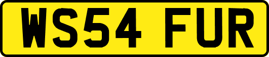 WS54FUR