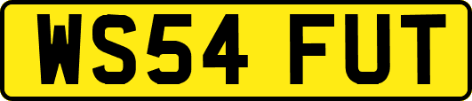 WS54FUT
