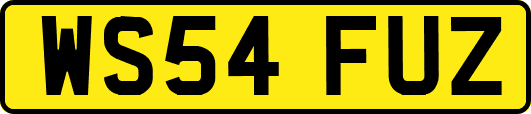 WS54FUZ