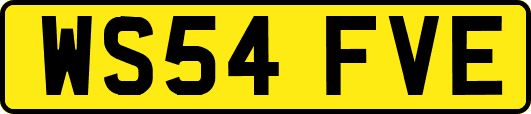 WS54FVE
