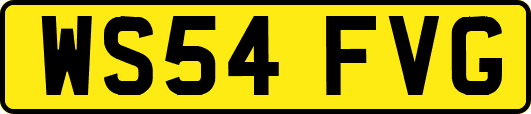 WS54FVG
