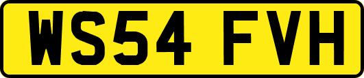 WS54FVH