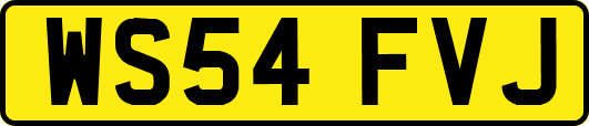 WS54FVJ