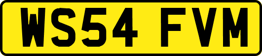 WS54FVM