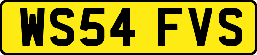 WS54FVS