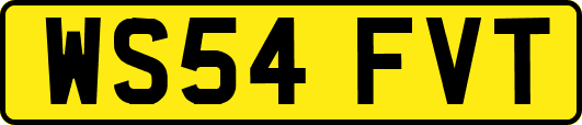 WS54FVT