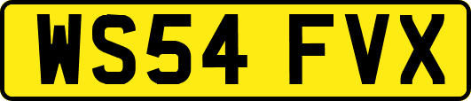 WS54FVX