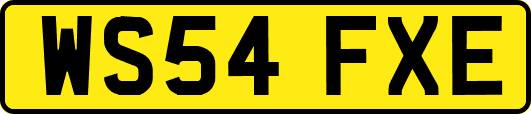 WS54FXE
