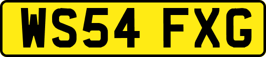 WS54FXG