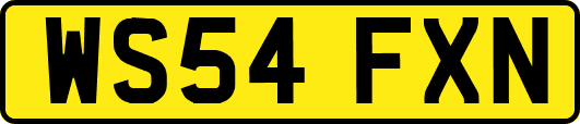 WS54FXN