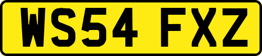 WS54FXZ
