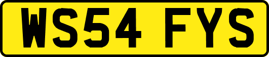 WS54FYS