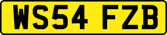 WS54FZB