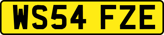 WS54FZE