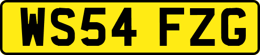 WS54FZG