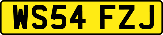 WS54FZJ