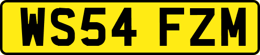 WS54FZM