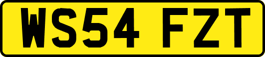 WS54FZT