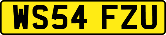 WS54FZU