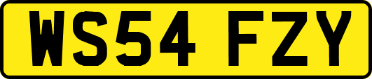 WS54FZY