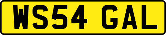 WS54GAL