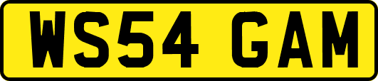 WS54GAM