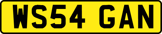 WS54GAN