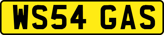 WS54GAS
