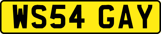 WS54GAY