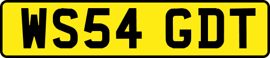 WS54GDT