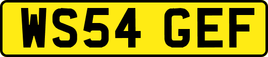 WS54GEF