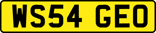 WS54GEO