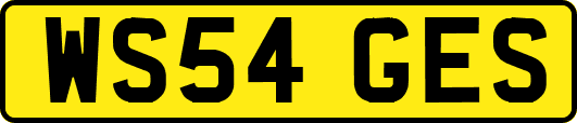 WS54GES